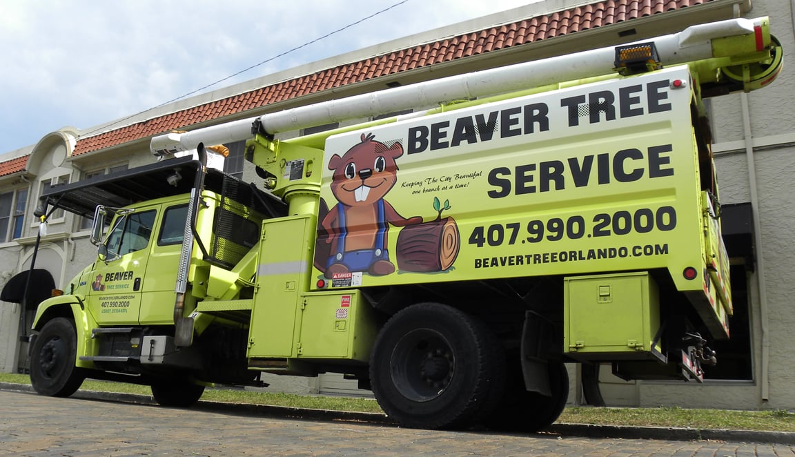 Beaver Tree Service Boom Lift Vehicle Wrap
