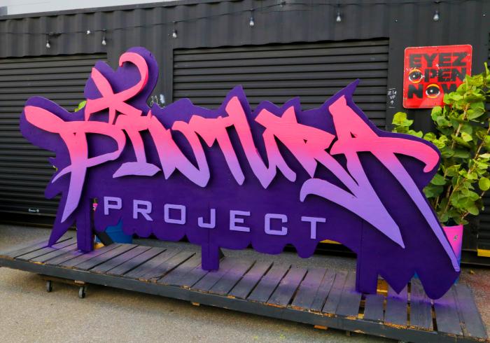 Pintura Project 2026!!!